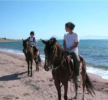 Vedorna - Big Wellness House Near Beach, Pool, Wellness With Jacuzzi & Sauna, Game Room, Table Tennis, Playground & Bbq, Pomer, Istria *